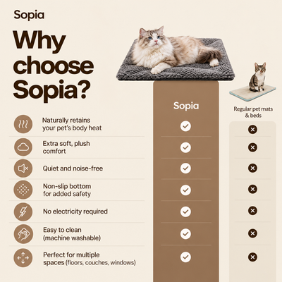 Stop the Heat Drain That’s Making Your Cat Stiff, Curled, and Cold
